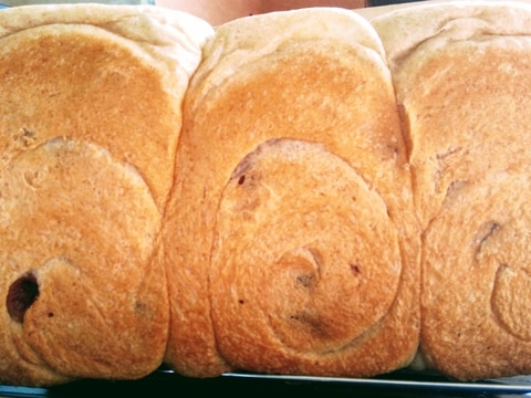 ライ麦入りレーズン食パン(オーバーナイト法)